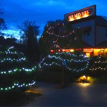 holiday-Osmosis-Festival-of-lights
