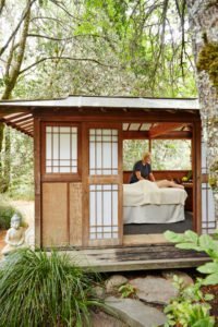 Pagoda massage osmosis day spa