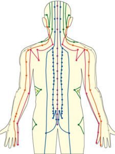 meridian-shiatsu-chinese acupuncture